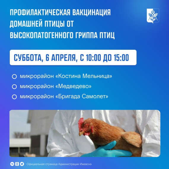 В Ижевске проводится профилактическая вакцинация домашней птицы от высокопатогенного гриппа птиц.