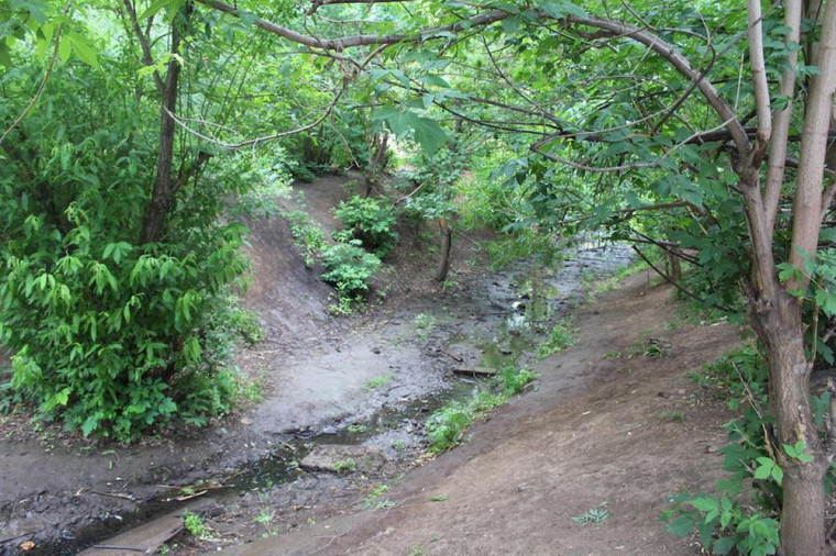 ​В Ижевске очистили исток речки Карлутка в рамках проекта «Вода России».