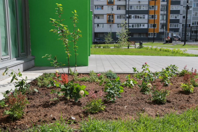Цветочные клумбы и вазоны появились во дворах-победителях городского конкурса «Из нас слагается Ижевск».