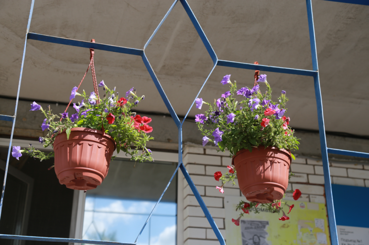 Цветочные клумбы и вазоны появились во дворах-победителях городского конкурса «Из нас слагается Ижевск».